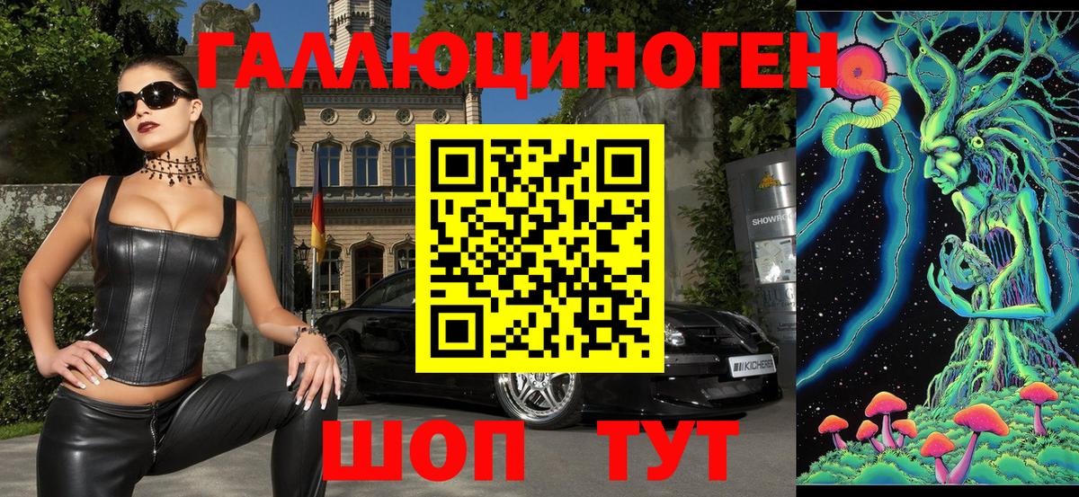 Псилоцибиновые грибы прущие грибы Большой Камень